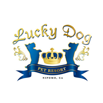 Lucky Dog Pet Resort logo by Purely Pacha