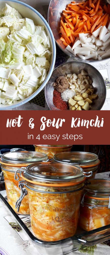 Hot and Sour Kimchi in 4 easy steps by Purely Pacha