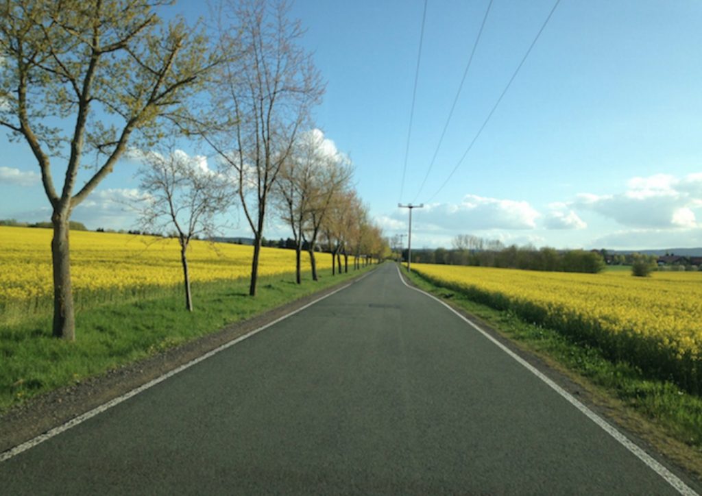Open Road toward the Autobahn