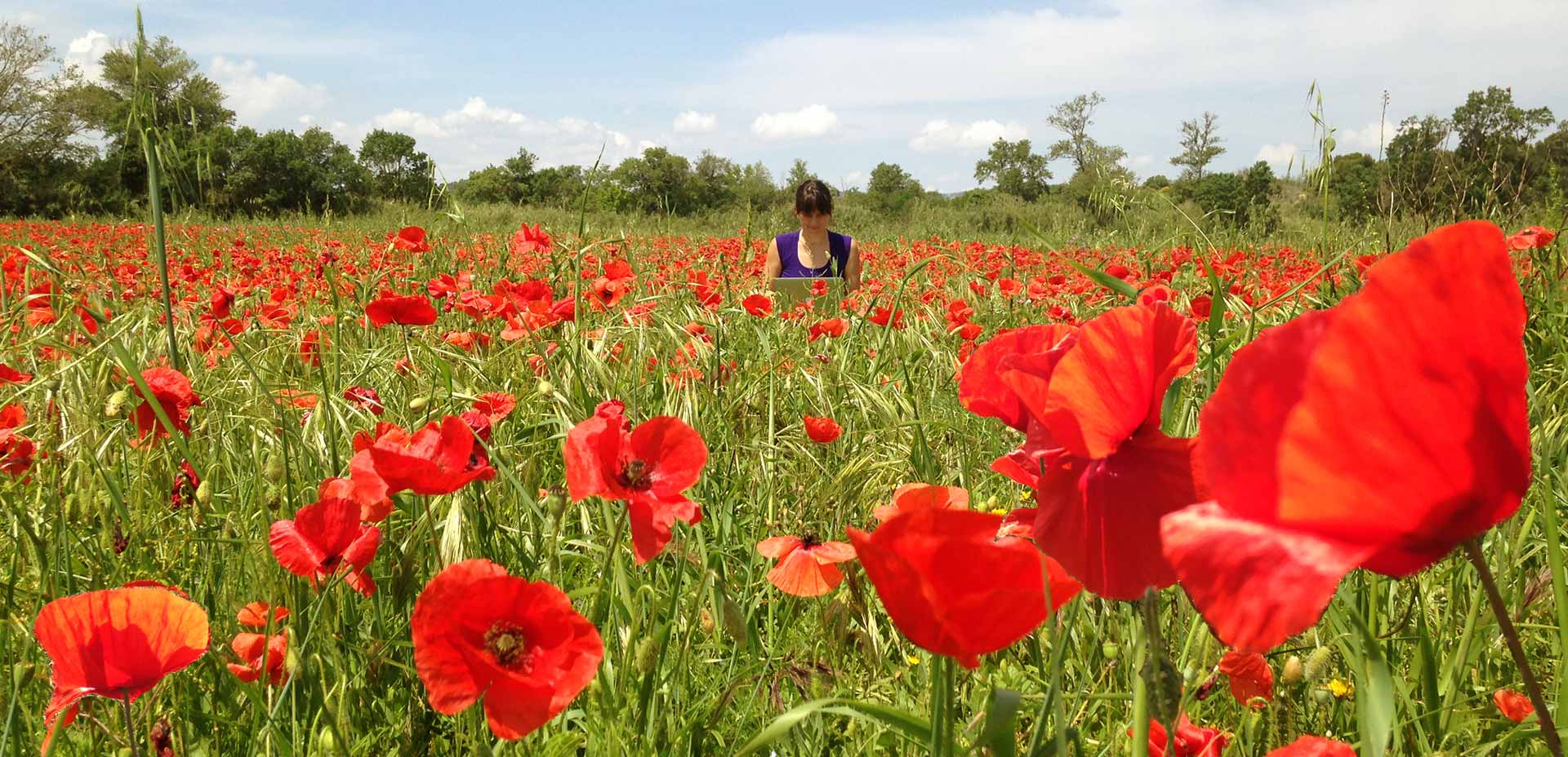 Digital nomad Pacha and the poppies
